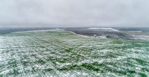 A light dusting of snow covering an open field