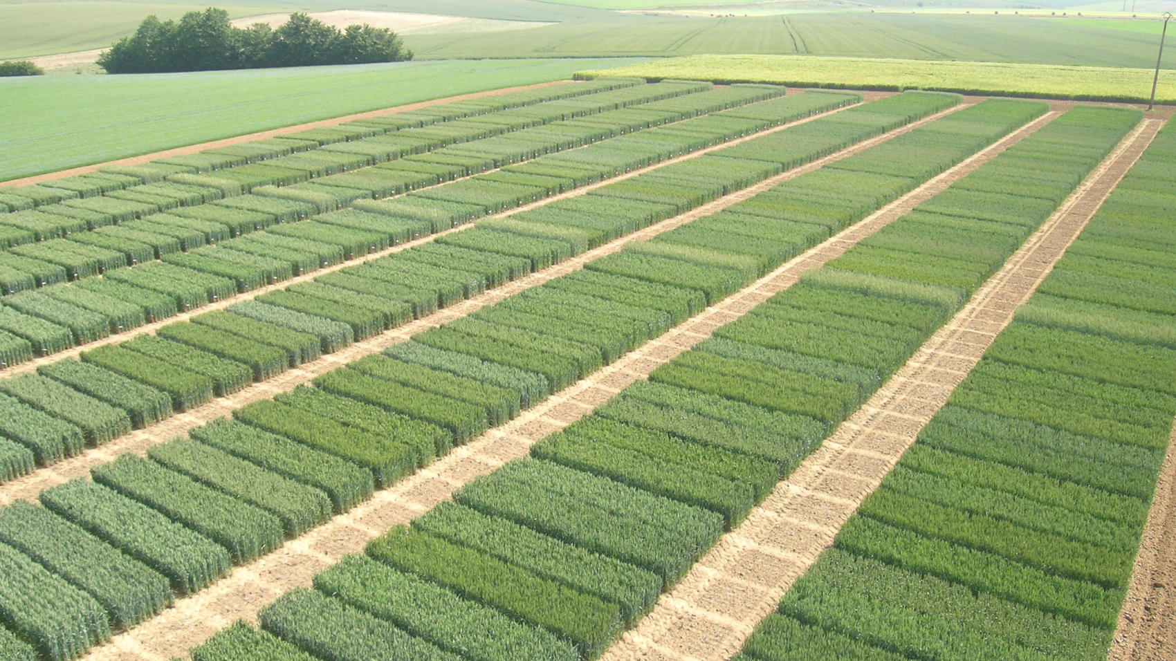 3_Wintersteiger_WF_Industry_Voice_Image_1700px.png
