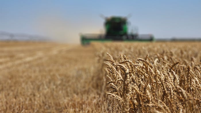 swfp-shelley-huguley-wheat-harvest2-24.jpg