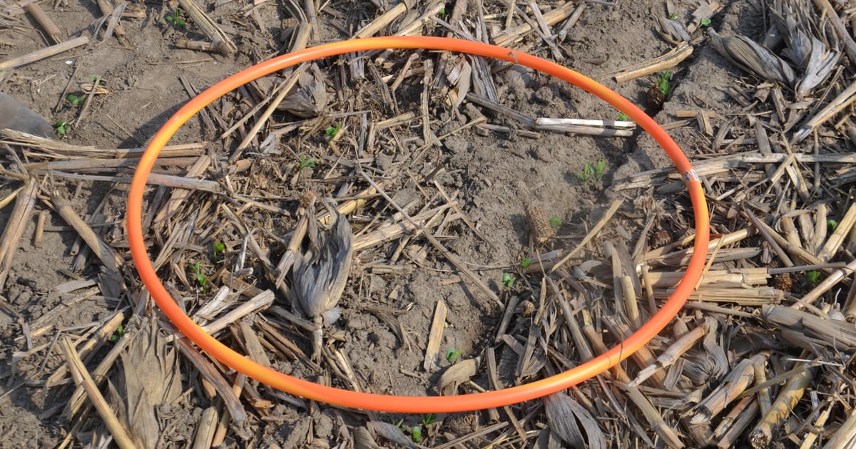 Soybean stand ‘good enough’ is a relief