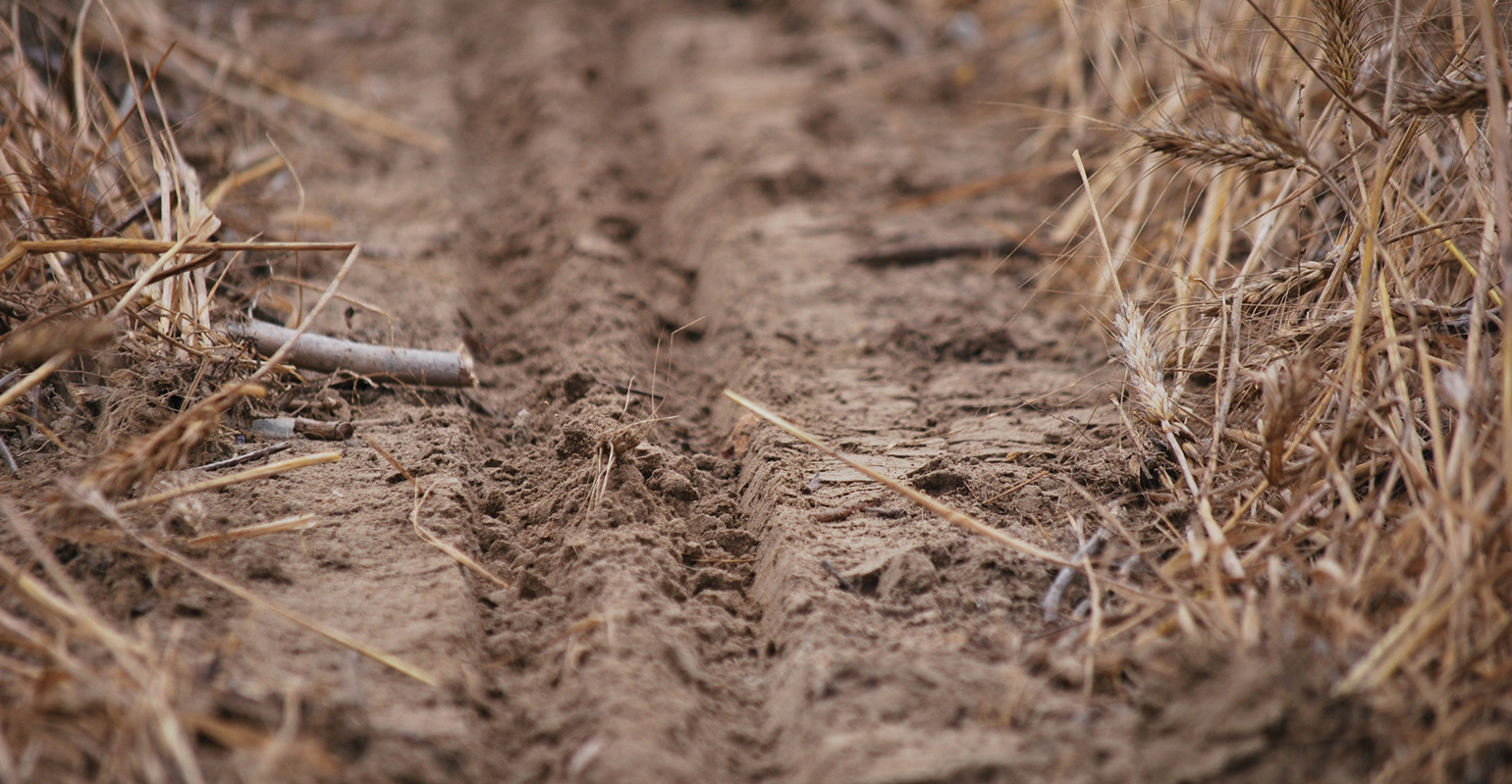 Prepare for diseases and nematodes before and after the furrow closes