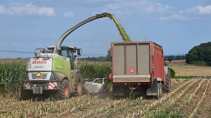 Dry silage? Here are 6 ways to manage it