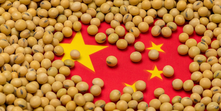 China flag with soybeans China flag with soybeans