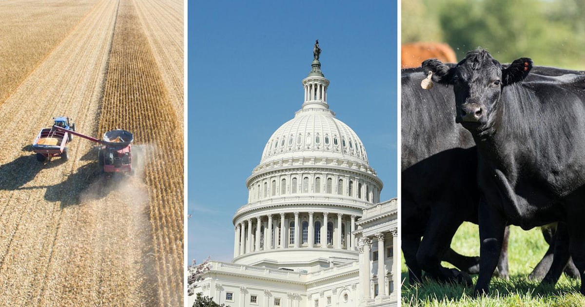 7 ag stories you can’t miss – May 3, 2024