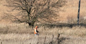 man hunting in tall grass