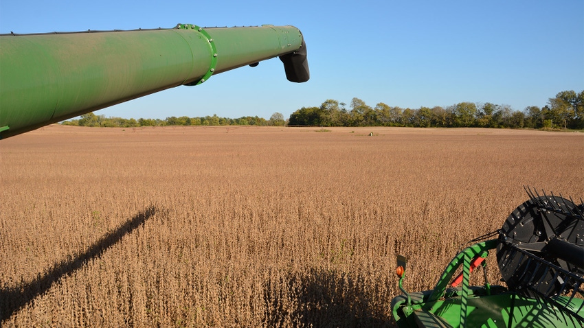 green combine auger extending over a soybean field at harvest