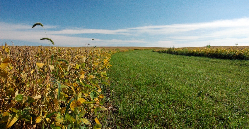 Pasture and sky. Pasture and sky.