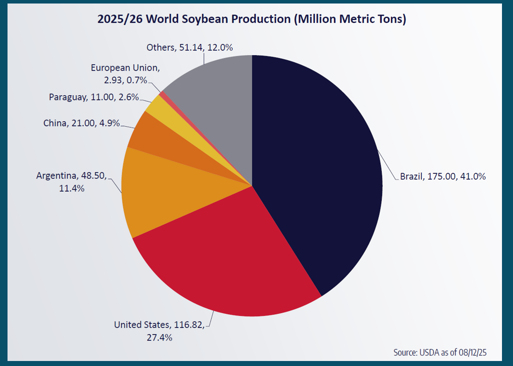 global_soybean_production.png