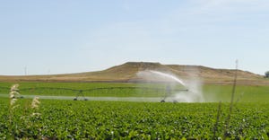 Sugarbeet field with irrigation equipment