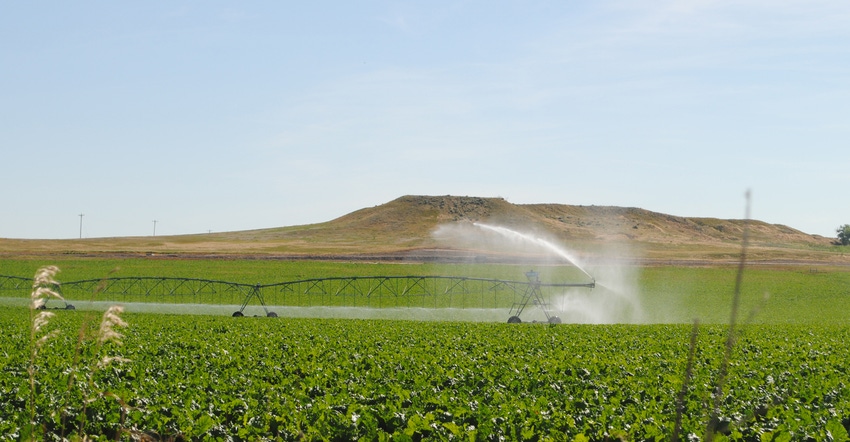 Sugarbeet field with irrigation equipment
