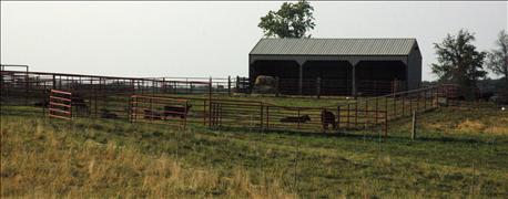 farm_profit_margins_look_bleak_1_635924262249828000.jpg farm_profit_margins_look_bleak_1_635924262249828000.jpg