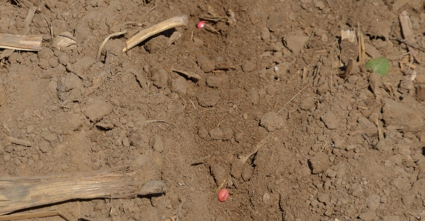 treated soybean seeds in-furrow treated soybean seeds in-furrow