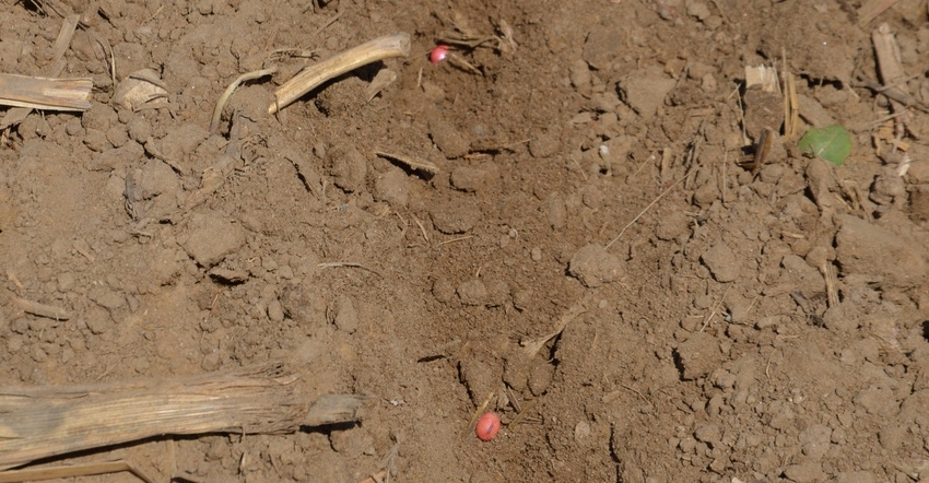 treated soybean seeds in-furrow