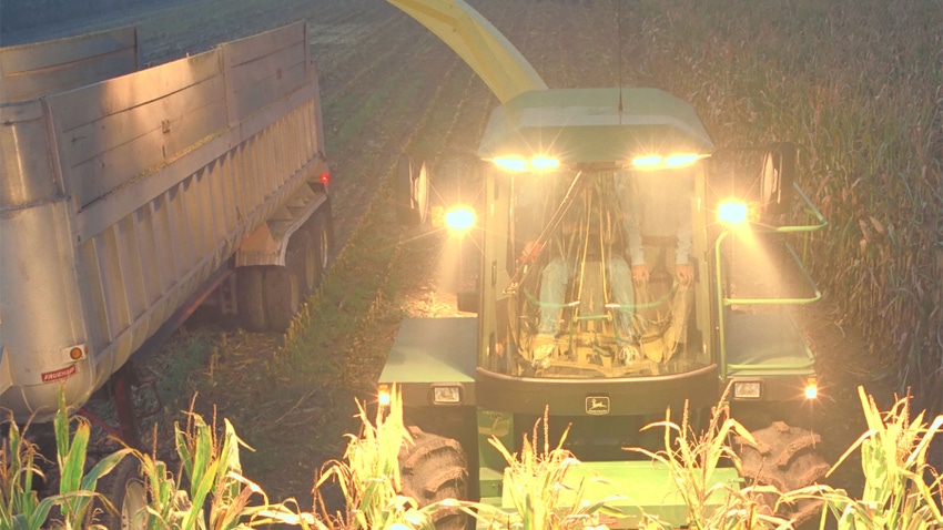 A tractor harvesting corn