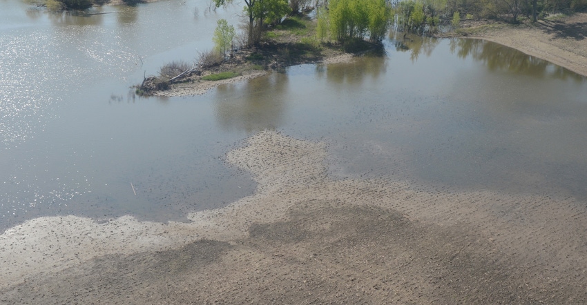 flooded field