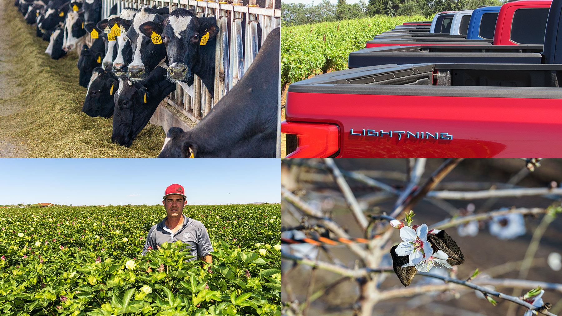 Western Farm Press favorite stories