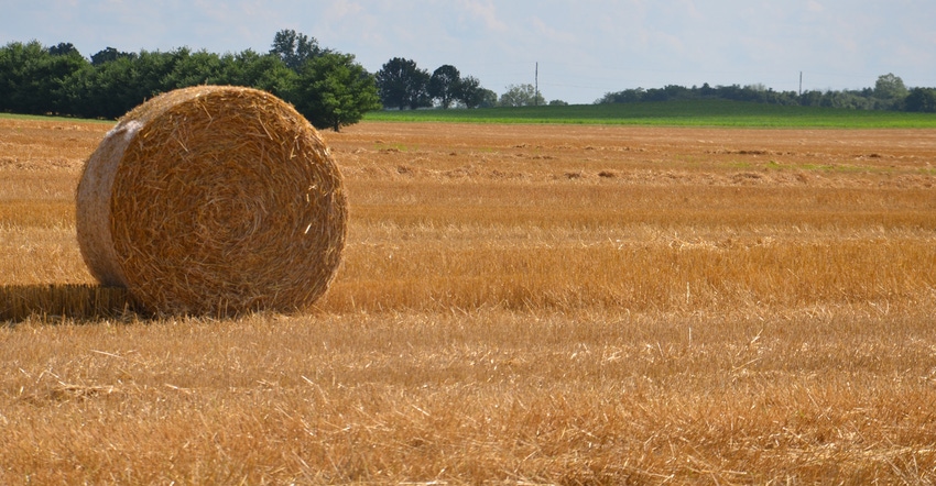 round bale of wheat in field
