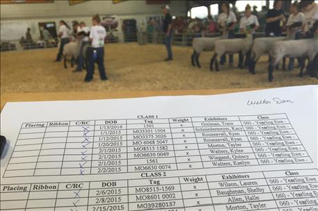 livestock_show_exclusive_rules_dont_apply_winners_1_636071987550162375.jpg