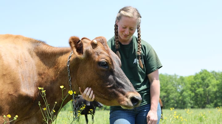 The story of a first-generation dairy farmer in New York