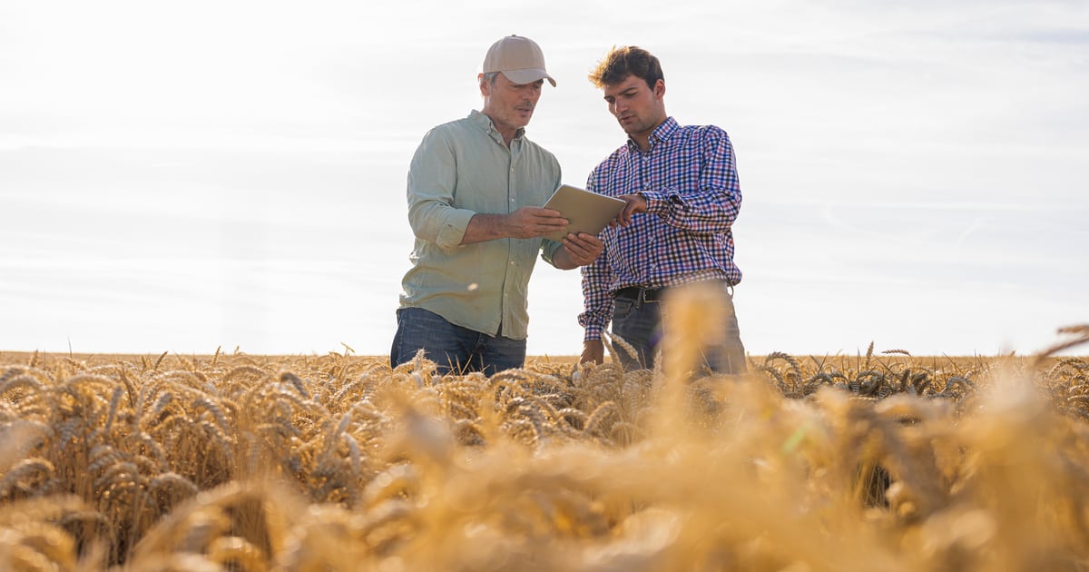 Ag graduates: Give yourself a leg up in job market