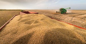 Soybean harvest autumn with combine in background