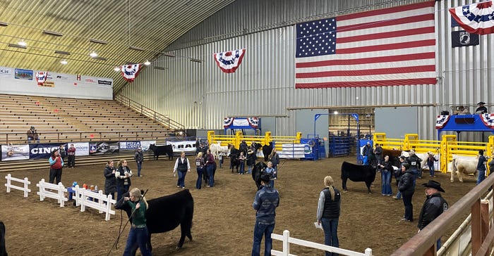 The Winter Cattle Show The Winter Cattle Show