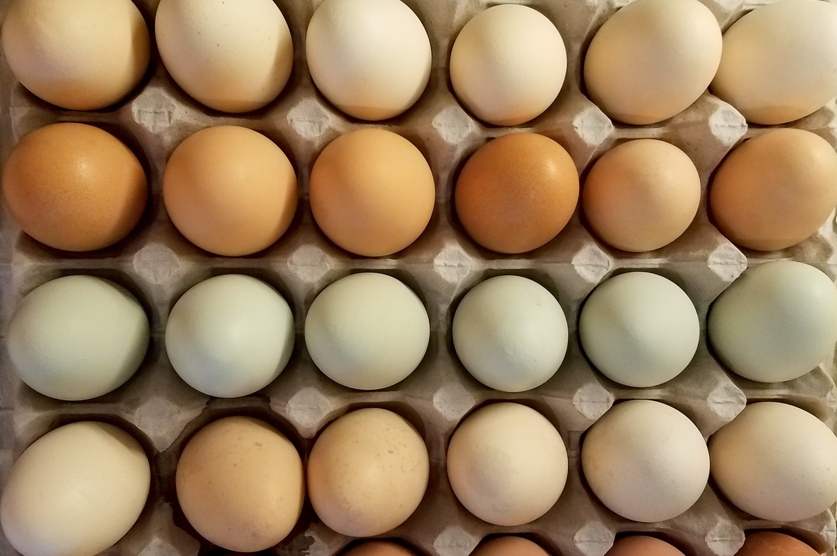 Egg prices lower than last year, but could see seasonal spike