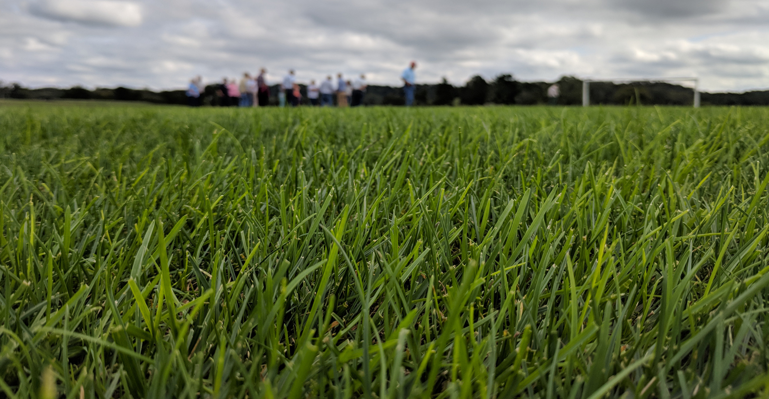 Sustainable Lawn Mowing Height: Expert Tips for Lush Lawns