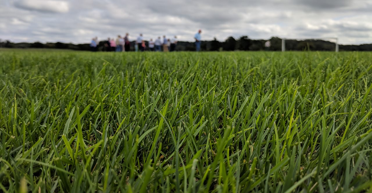 Sustainable Lawn Mowing Height: Expert Tips for Lush Lawns