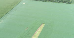 aerial view of a crop field