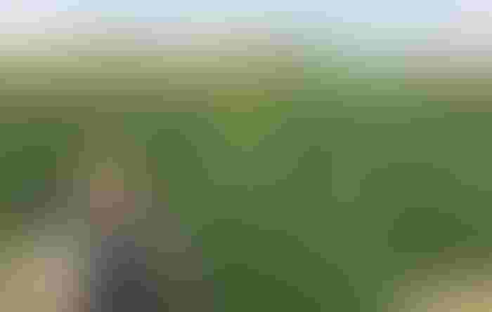0401W1-3243b-1540x978.jpg 0401W1-3243b-1540x978.jpg