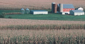 farmstead surrounded by corn fields