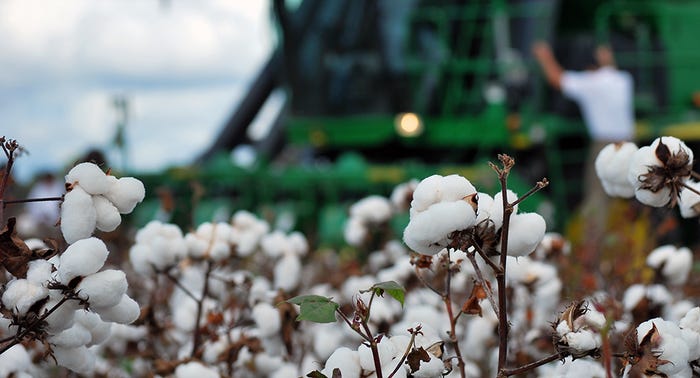 cotton-harvest-3-a.jpg