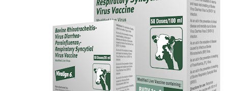 elancos_viralign_6_vaccine_approved_target_newest_bvd_strain_1_635168985662641616.jpg