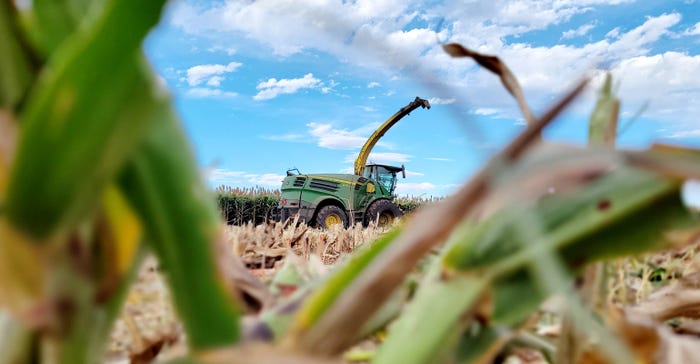swfp-shelley-huguley-sorghum-cutter-stalks.jpg swfp-shelley-huguley-sorghum-cutter-stalks.jpg