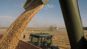 Ukraine wheat harvest