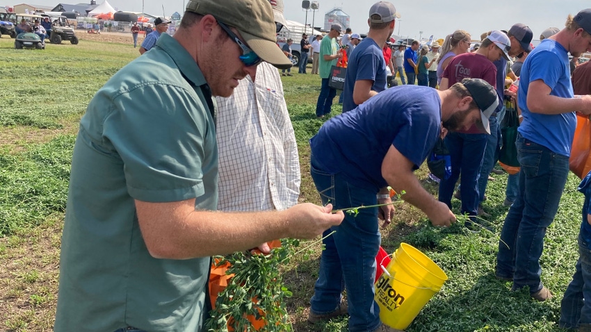 Attendees at HHD holding buckets and plants