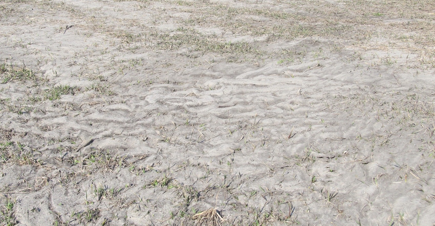 Sand and debri on farmland in Iowa