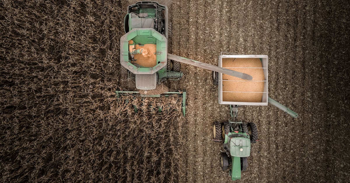 Corn yield swing of 10% could mean $4.45 or $3.40 fall futures