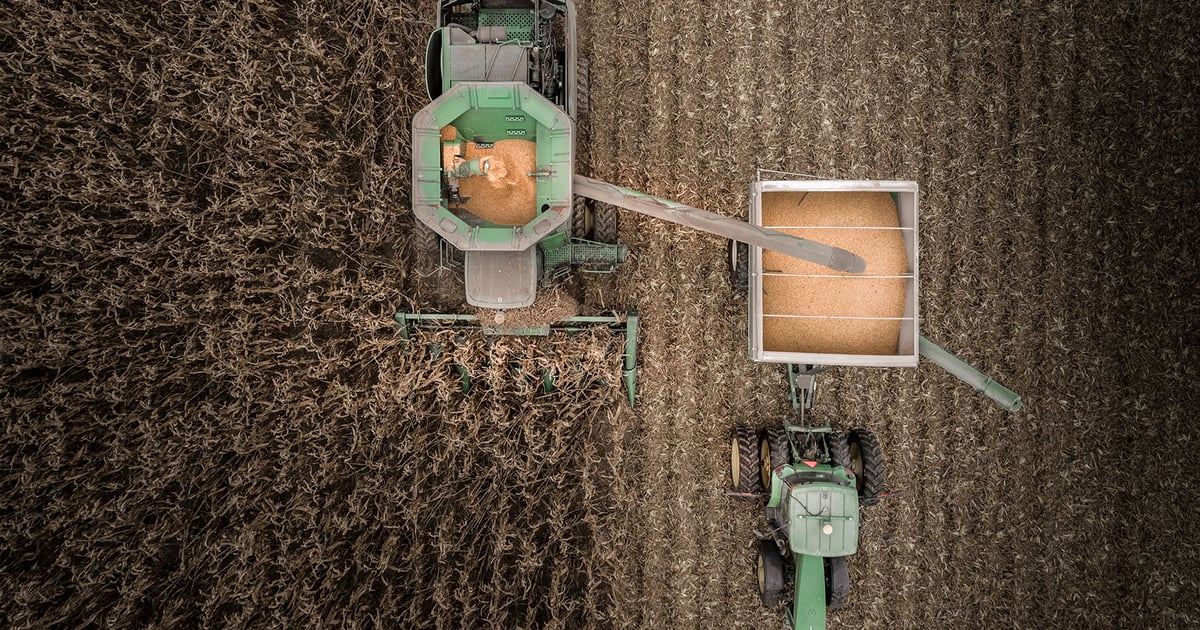 Corn yield swing of 10% could mean $4.45 or $3.40 fall futures
