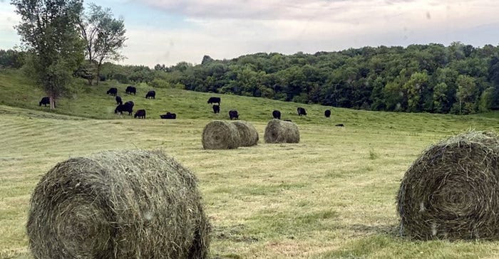 Hay and rolling hills on the Drinkman farm