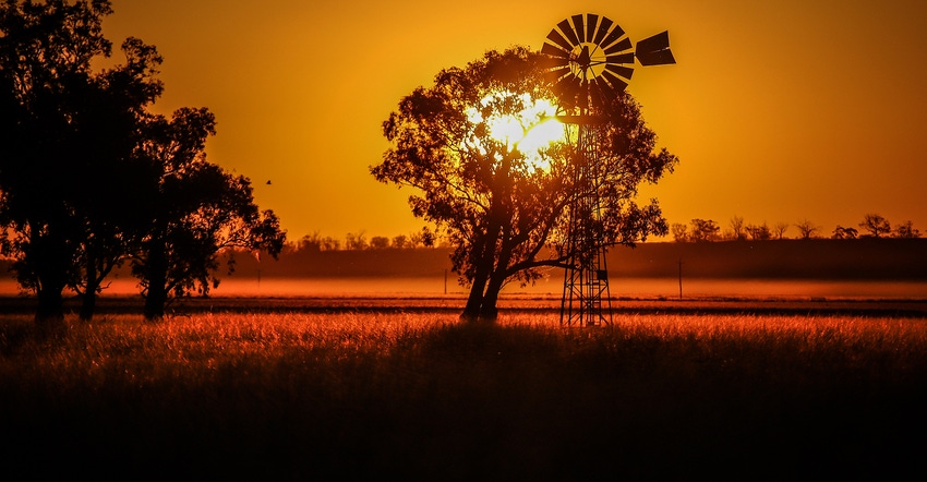 Windmill, wheat field and sunset