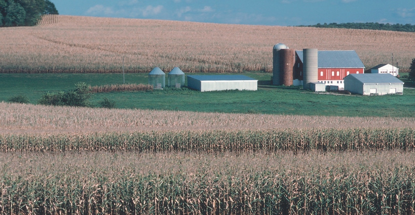 corn field with mature corn and farm, silo in background
