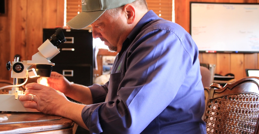 Pioneer agronomist Matt Montgomery uses a microscope 