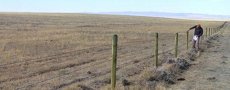 ranchers_use_nrcs_farm_bill_funding_wildlife_friendly_cattle_fences_1_635463777215796000.jpg
