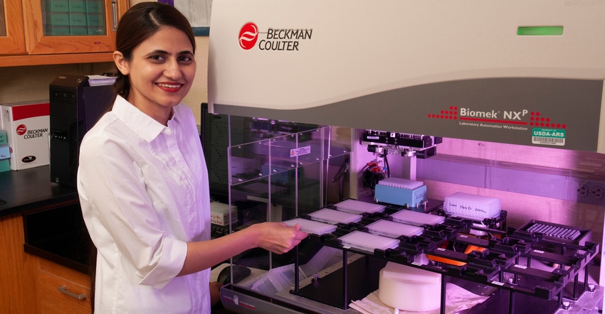 Nida Ghori, a doctoral student in K-State's Department of Agronomy Nida Ghori, a doctoral student in K-State's Department of Agronomy