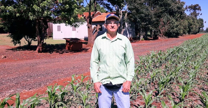 Farmer standing in field of corn Farmer standing in field of corn