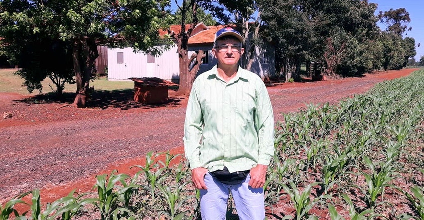 Farmer standing in field of corn