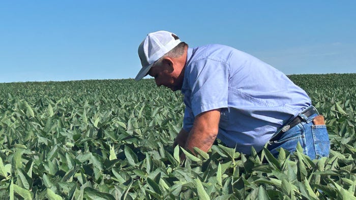 Scott Gigstad working in cornfield