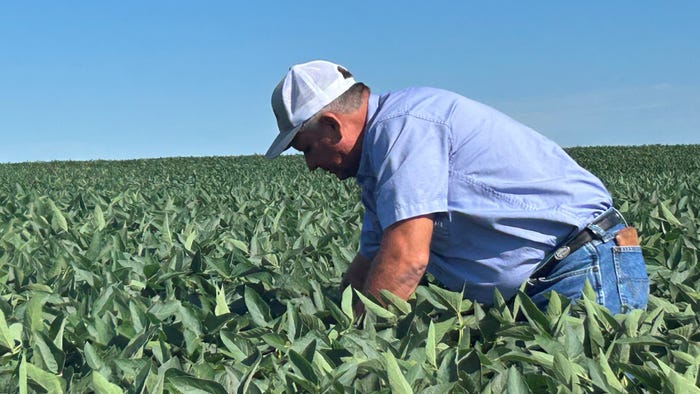 Scott Gigstad working in cornfield Scott Gigstad working in cornfield